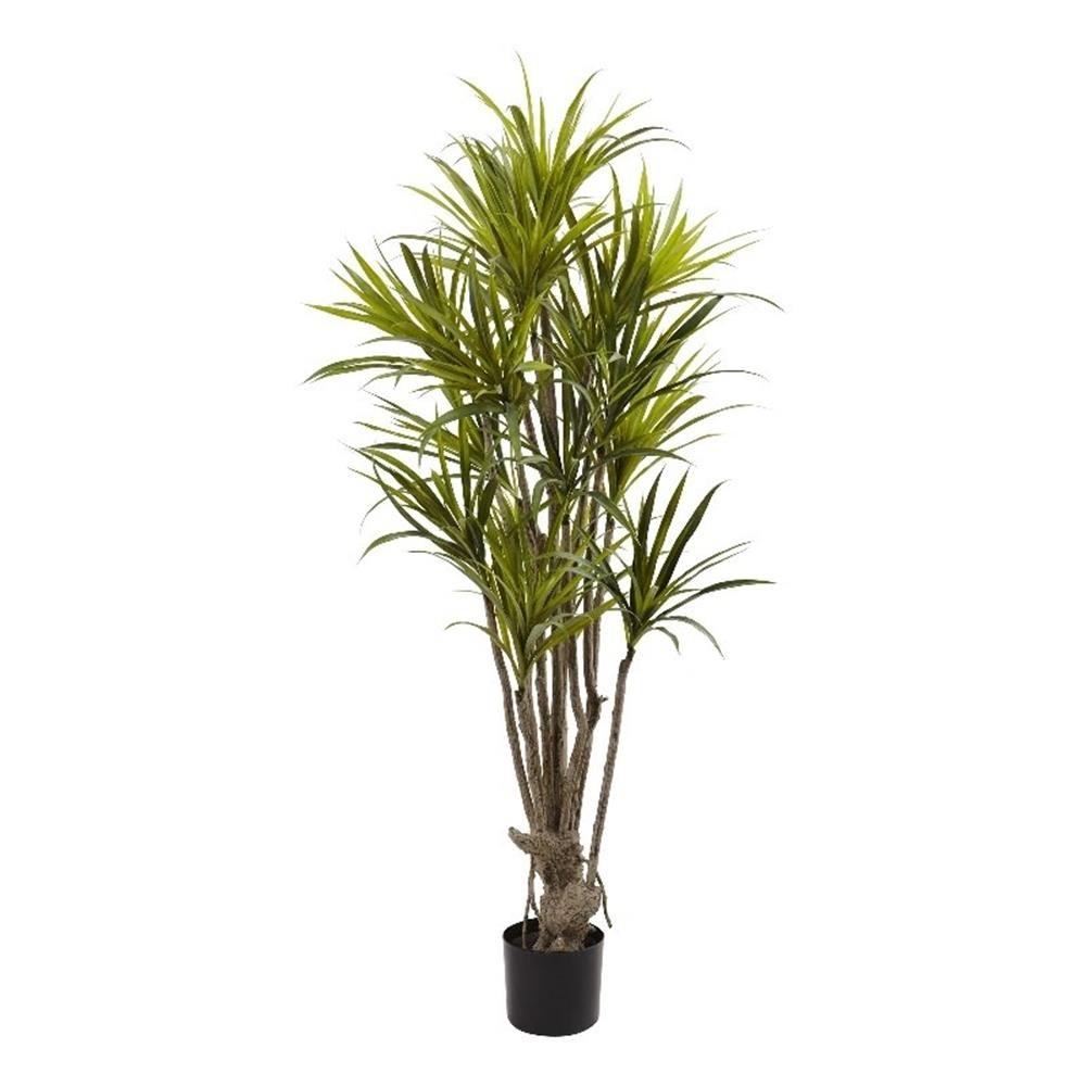 Nearly Natural 5ft Dracaena Silk Tree in Green