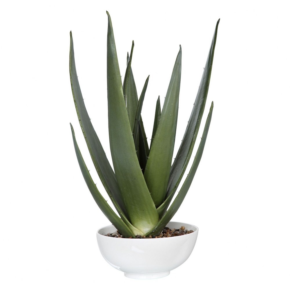 Evarado – 30 inch Aloe Planter Accessories Uttermost 60177
