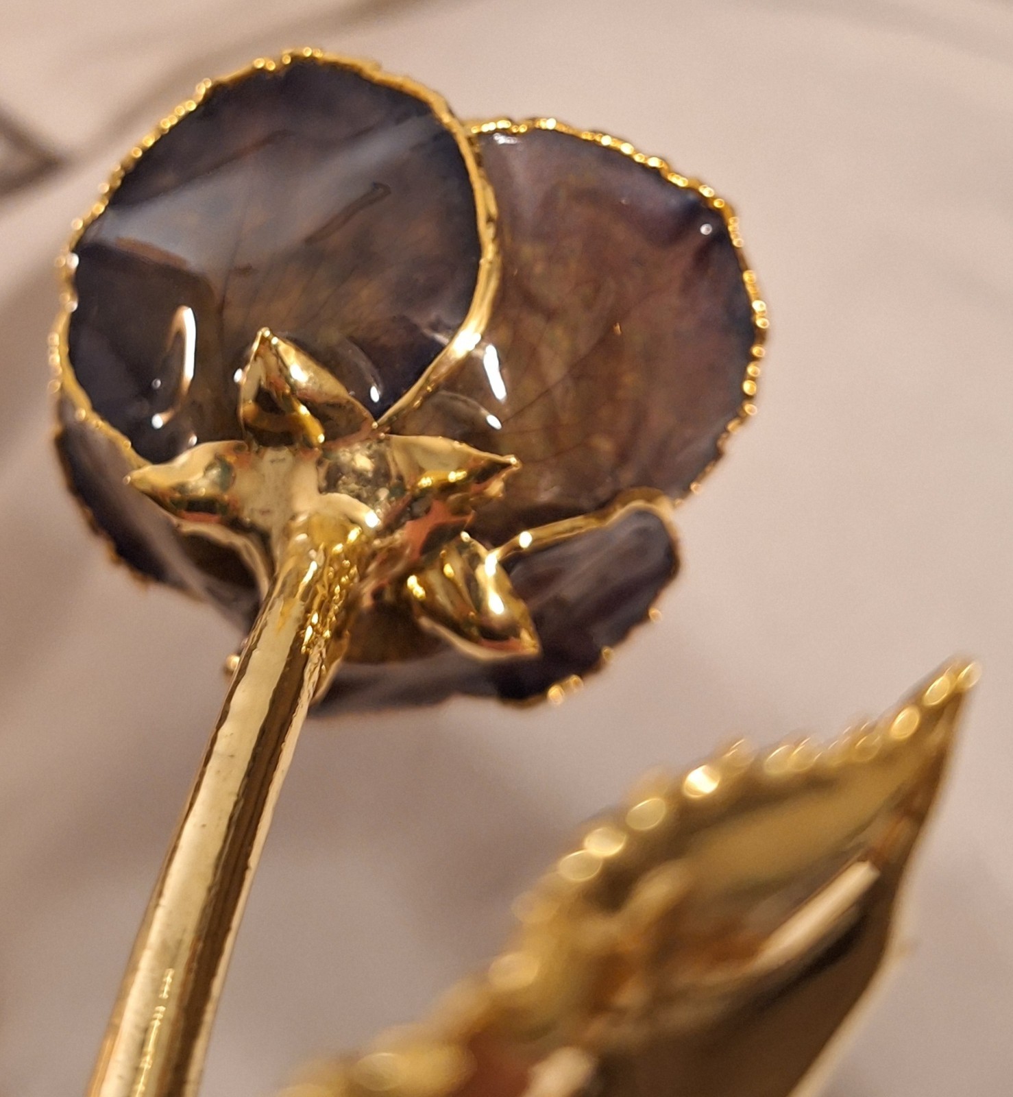 24k Gold Dipped Real Rose
