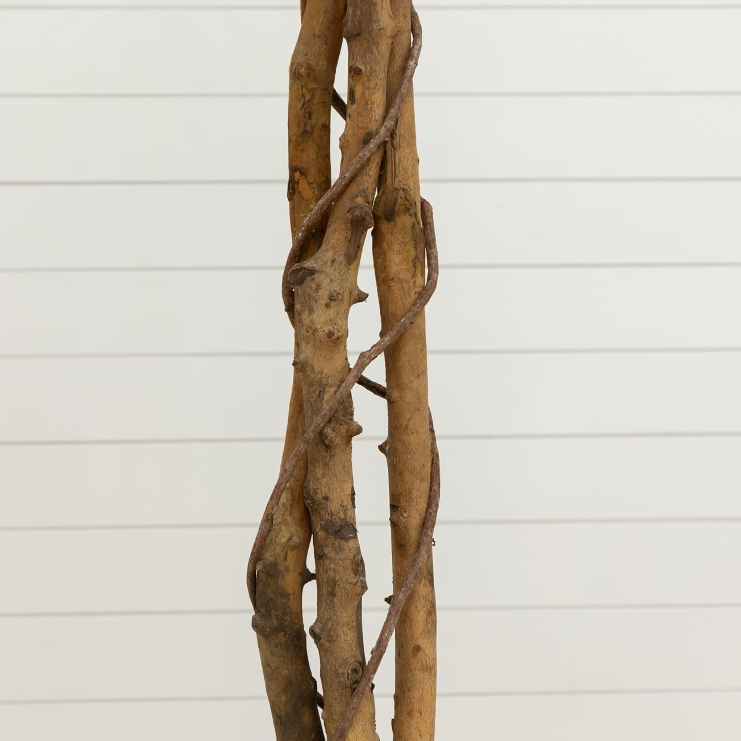 Maintenance-Free 6ft Ficus Tree in Natural Jute Planter – Perfect Indoor Accent