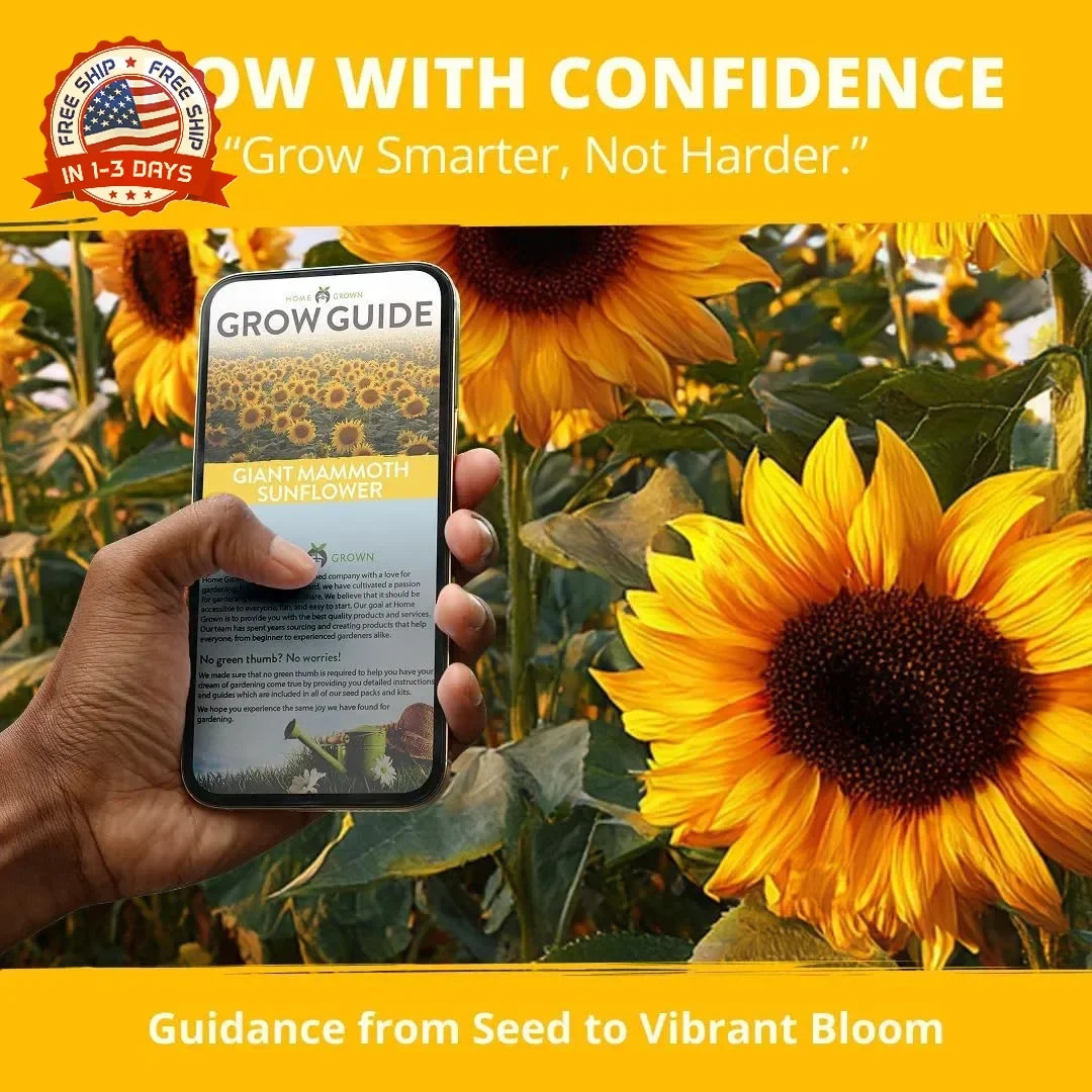 Giant Mammoth Sunflower Seeds for Planting 520+ Heirloom High Germination for Ga