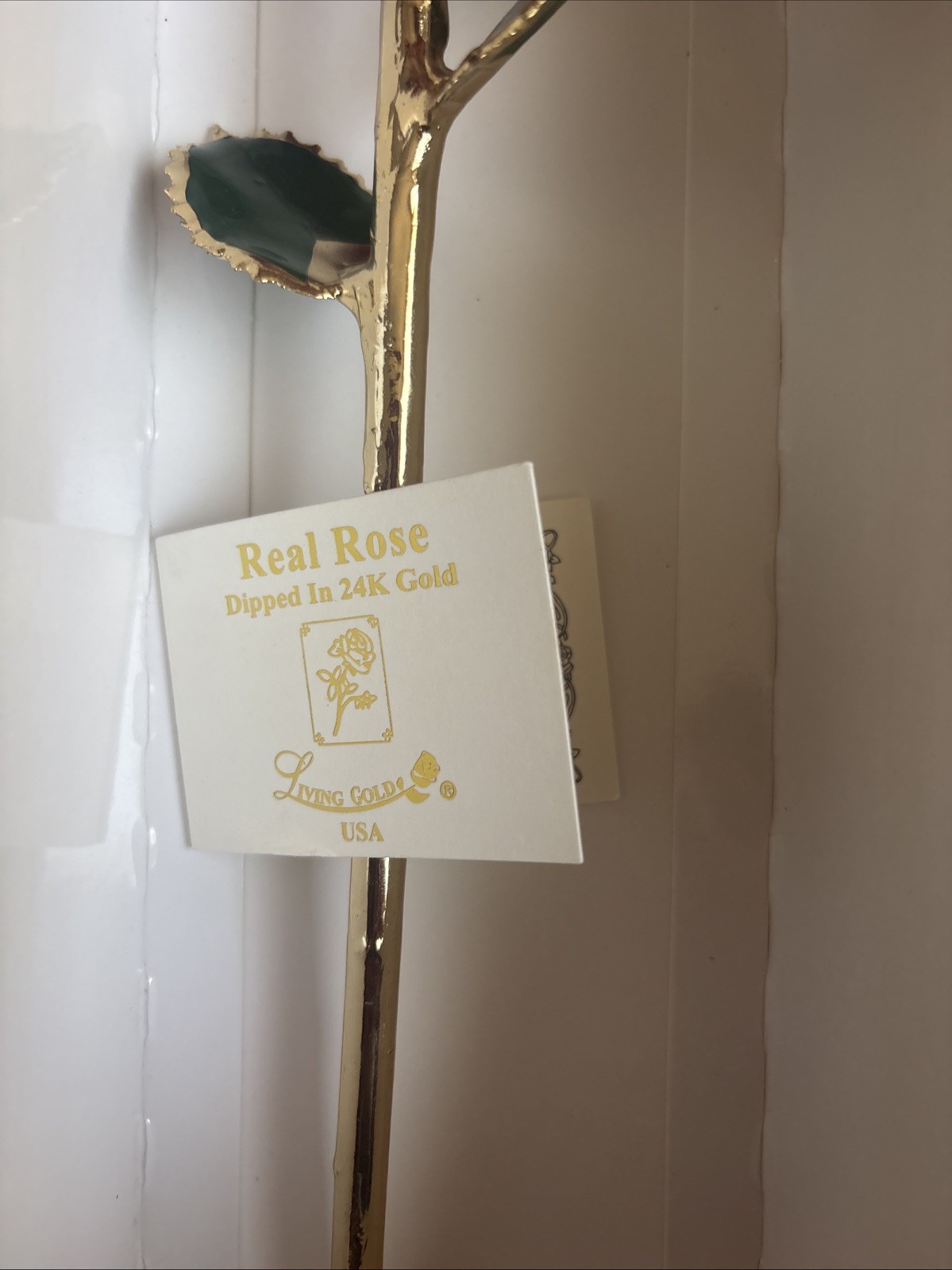 LIVING GOLD REAL ROSE DIPPED IN 24K GOLD RED BOXED Vintage With Certificate