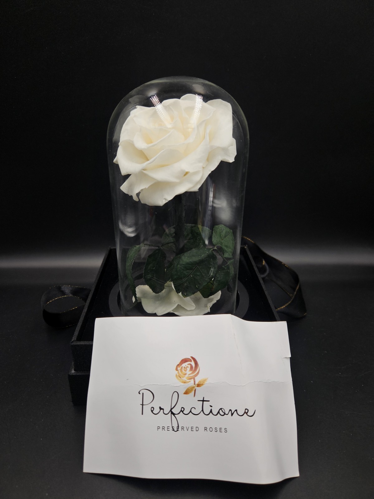 Preserved Rose in Glass Dome White Eternal Infinity Rose