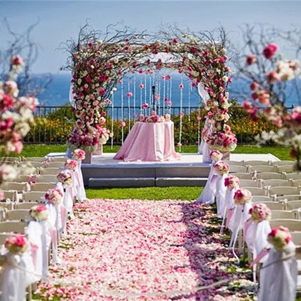 3000 PCS Pink Artificial Silk Rose Petals for Romantic Night, Wedding, Party,…