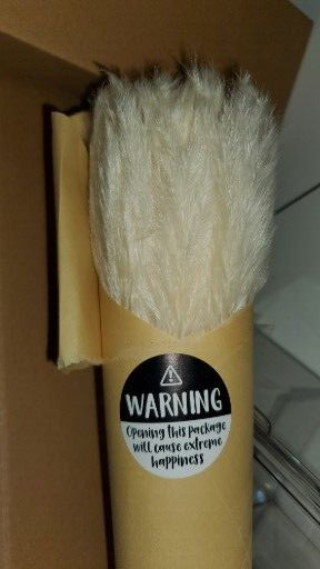40 Pack GlamStems White Dried Pampas Grass Decor 17in Pampas Grass NEW!