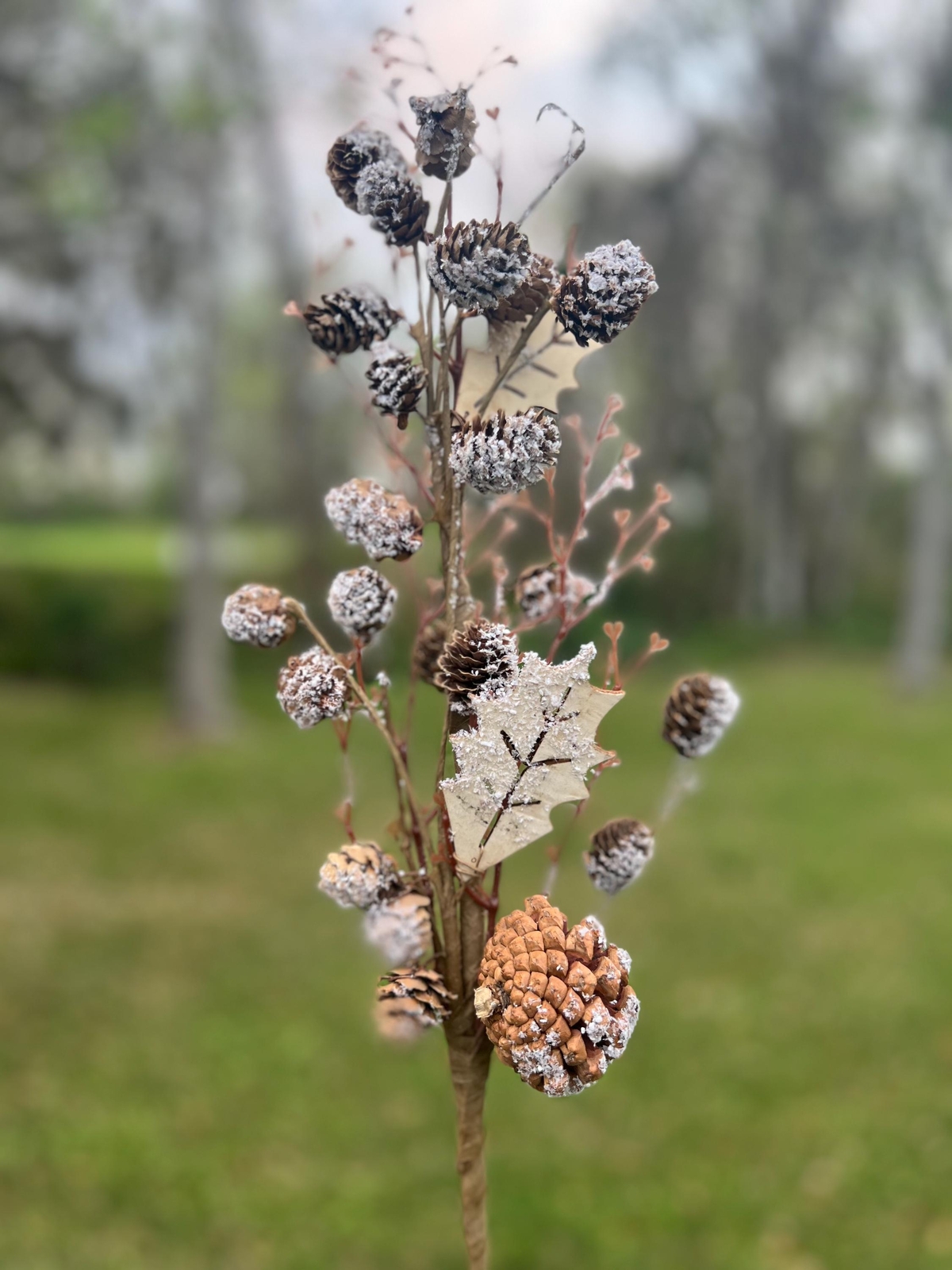 Regency Christmas Snow Covered Frosted Birch Pinecone Stem Branch Pick Crafts