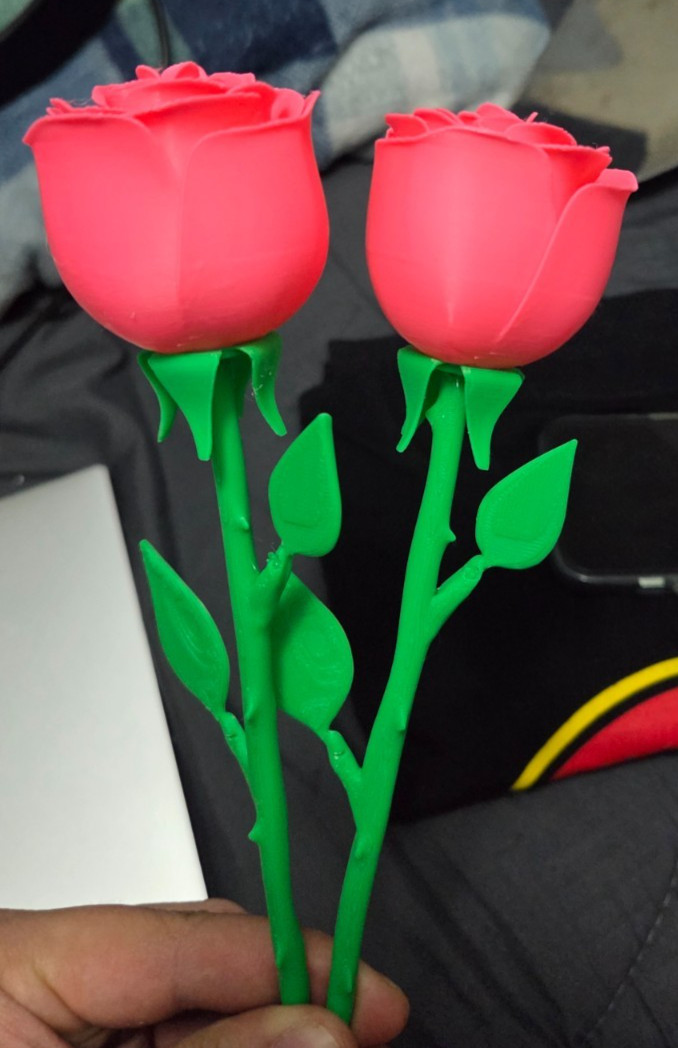 3D Printed Roses -Birthday – Valentine’s Day – Mothers Day – Gift