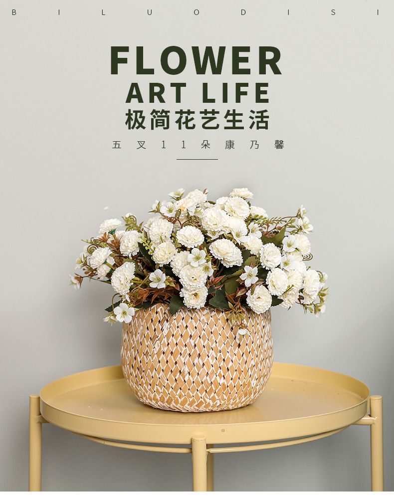 Artificial Carnation Flower Ornament For House / Hotel And Garden Display Decor