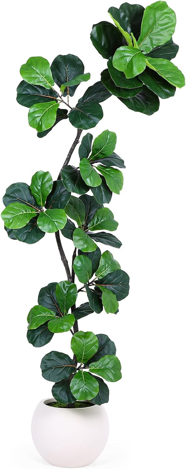 7Ft Artificial Fiddle Leaf Fig Tree Faux Plant Fake Ficus Lyrata White Planter
