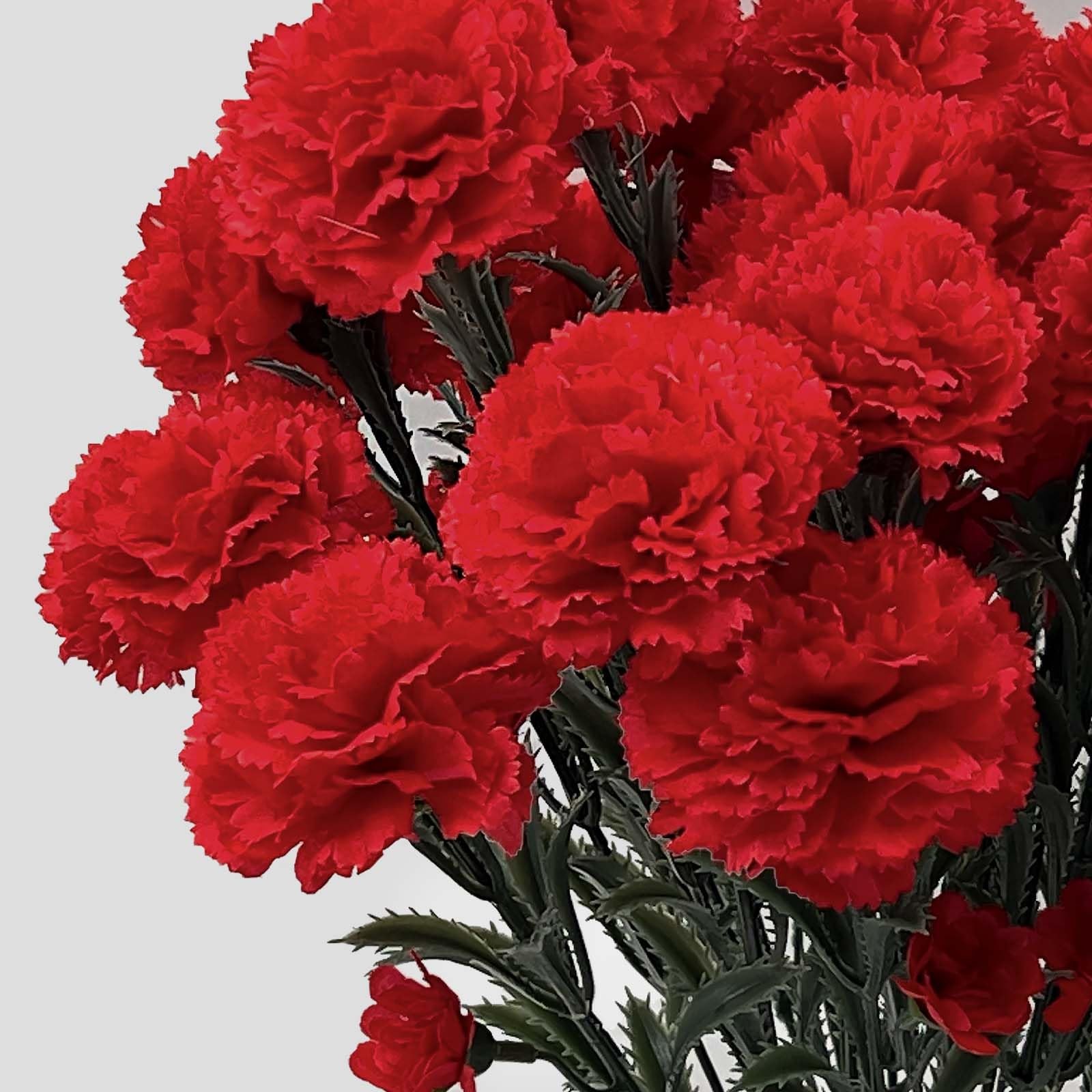 SNAIL GARDEN 28 Large Blooms Artificial Carnations Bulk with 28 Mini Blooms, …