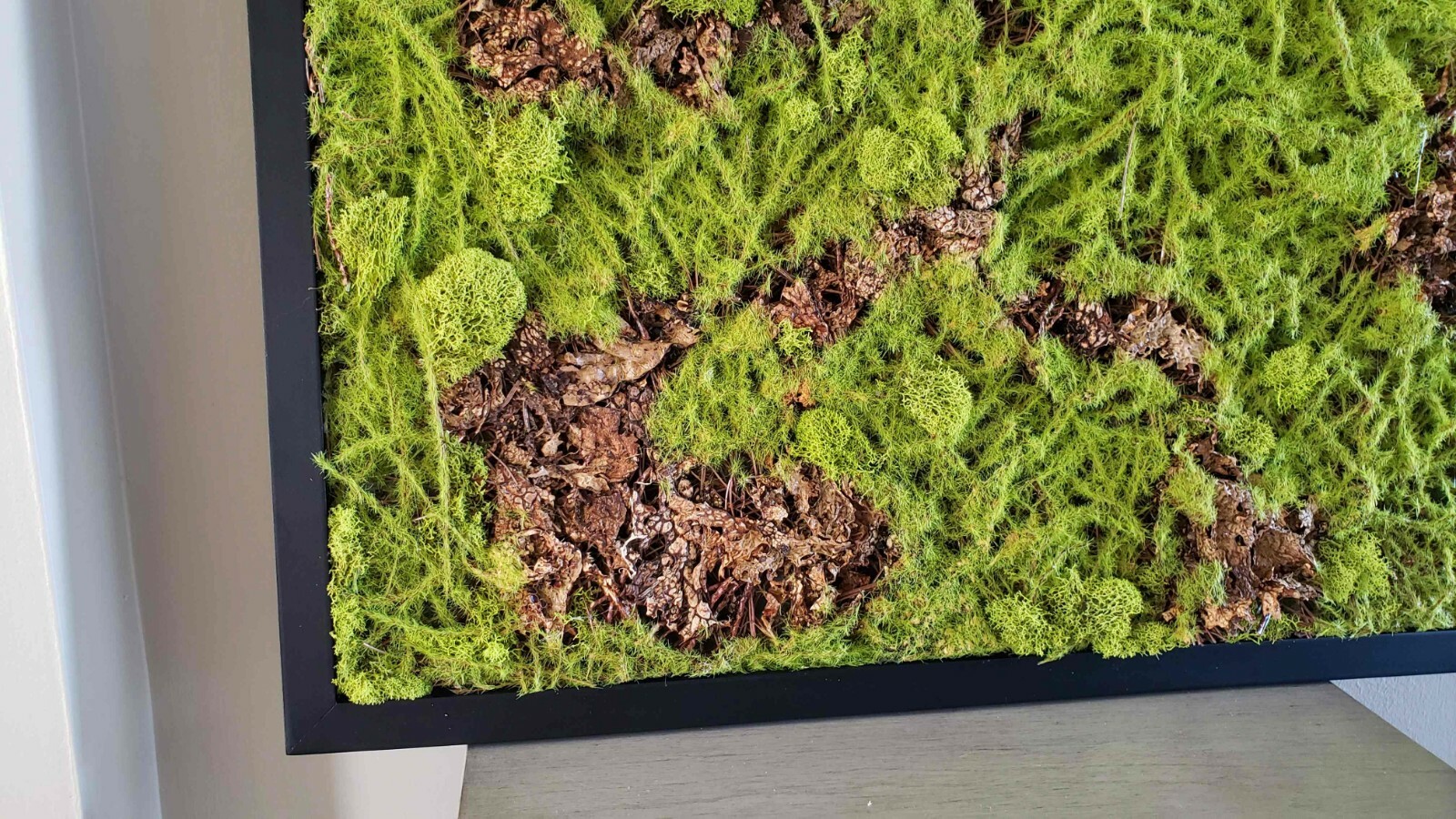 21*21″ Mixed Moss square wall decor,black frame,natural moss, faux sphagnum moss