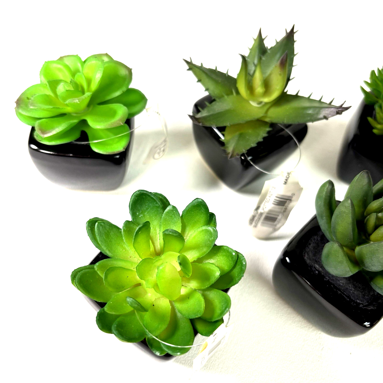 Set of 6 Artificial Mini Succulents in Black Ceramic Pots New With Tags