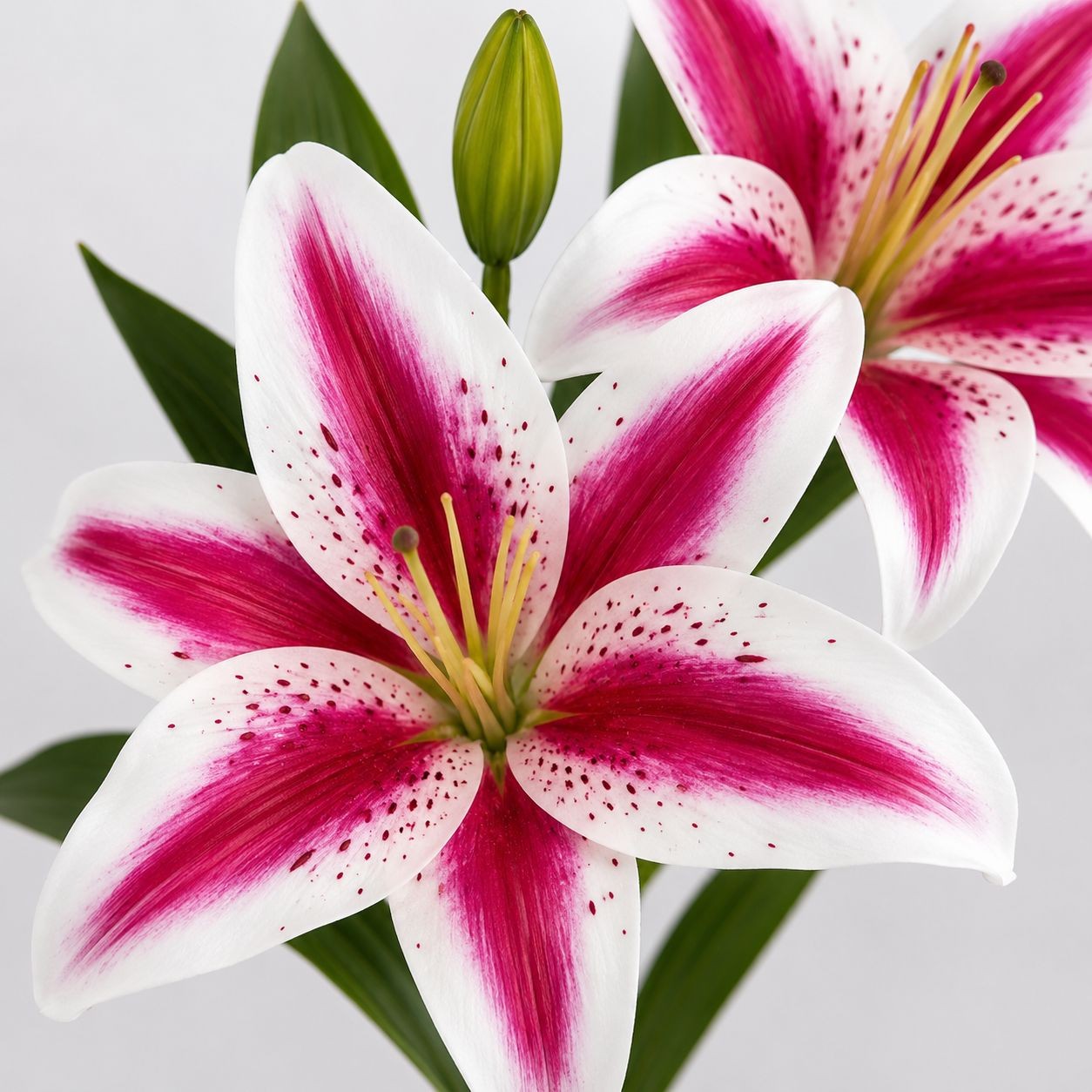 Real Touch Pink Stargazer Lily Stems Set of 2, Artificial Stargazer Lilies, Faux