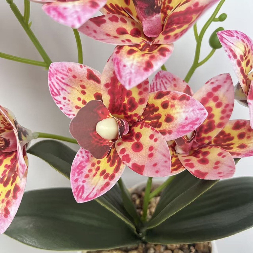 35cm Faux Pink Cymbidium Orchid in White Ceramic Pot for Minimalist Decor