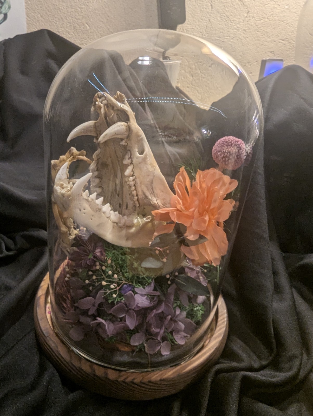 Decorative Glass Dome with Animal Skull and Floral Arrangement