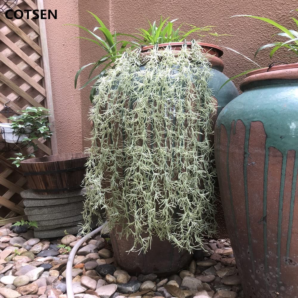 5 Pack Spanish Moss Faux Greenery Moss Fake Vines Moss Hanging Plants for Pot…
