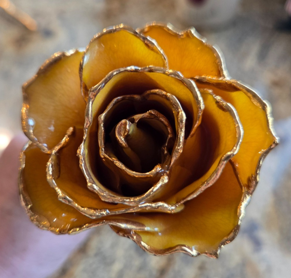 24K ROSE CO Real Forever Rose 11″ Everlasting Gift of Love Decor – Yellow￼