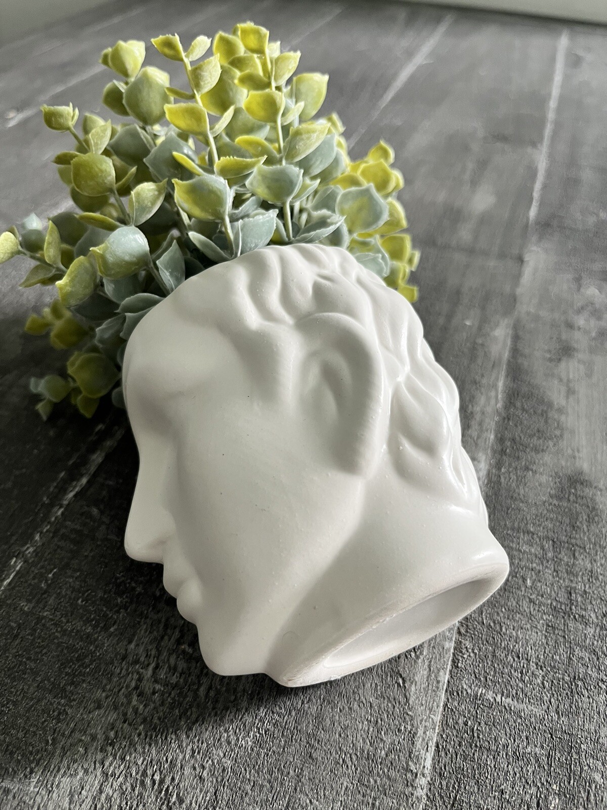 Man Head Planter Bust With Green Succulent Decor White Matte Finish New