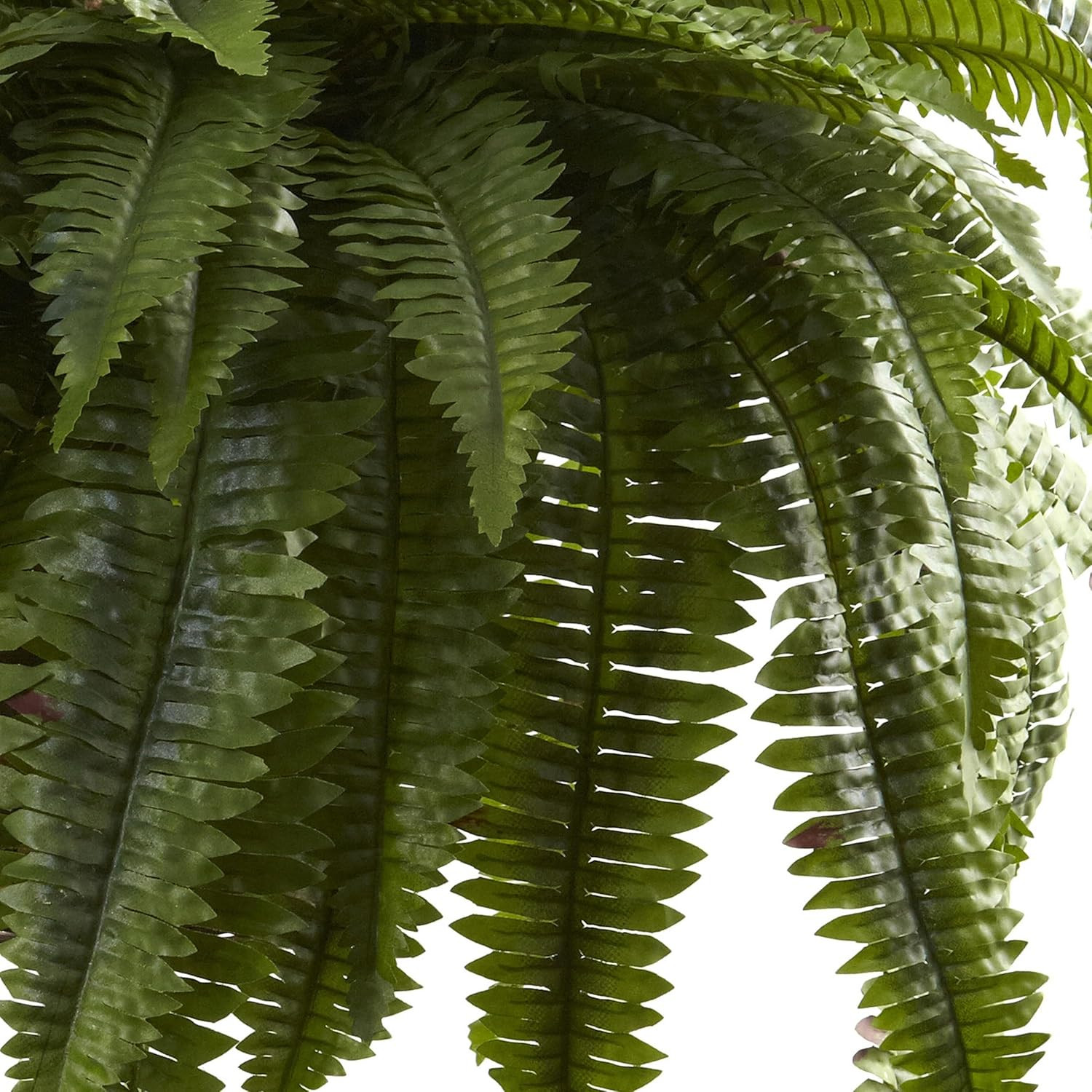 6788 Double Giant Boston Fern Hanging Basket,Green