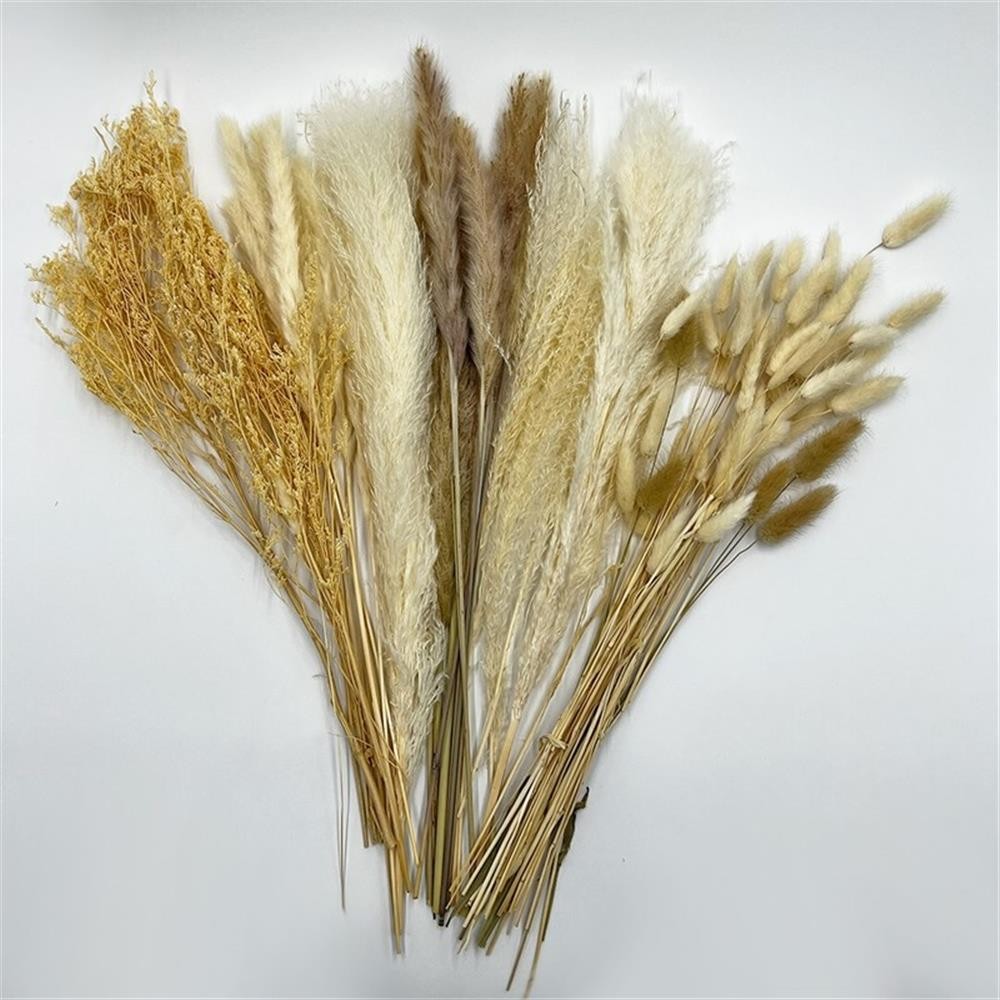 Pemberly Row 10-inch High Real Preserved Mixed Bouquets in Small Size