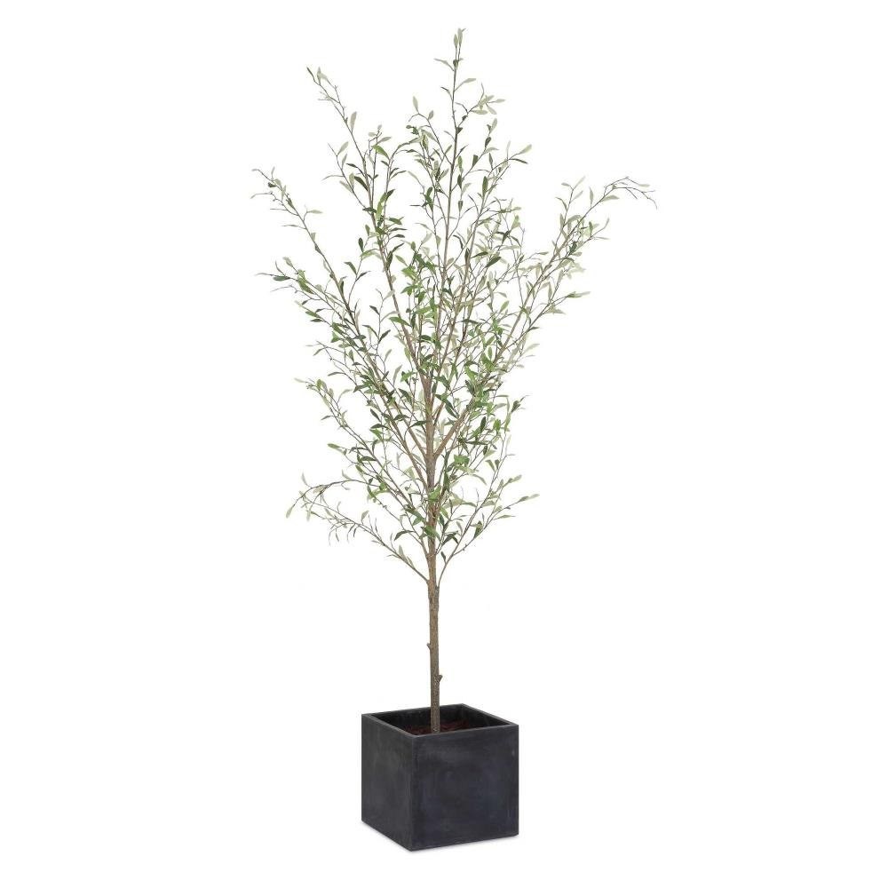 Potted Olive Tree-90.5 Inch Tall and 31.5 Inch Wide – 208-BEL-5305029 – Bailey