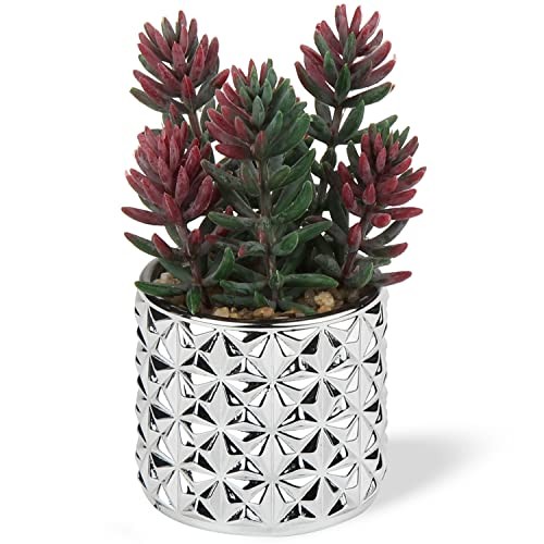 Small Artificial Succulents in Pots 5.4” Tall Realistic 1 Red Succulent#011