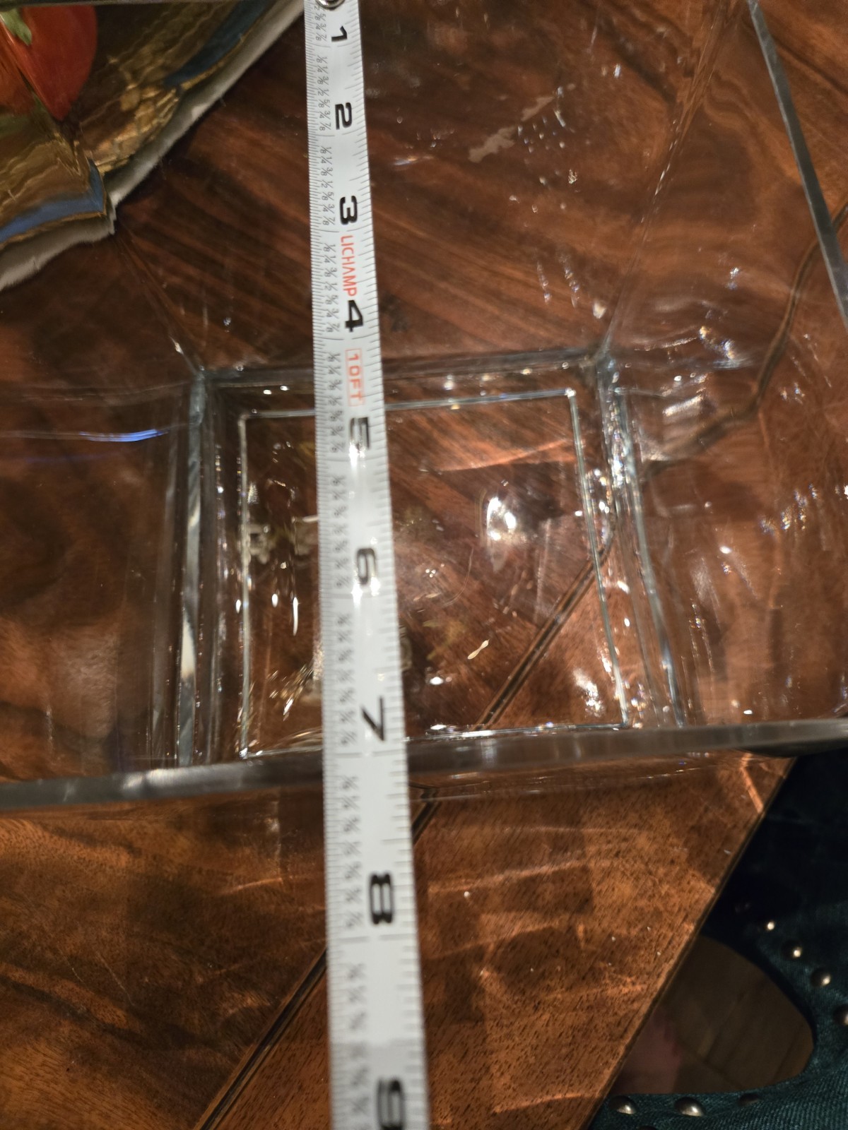 glass terrarium for plants