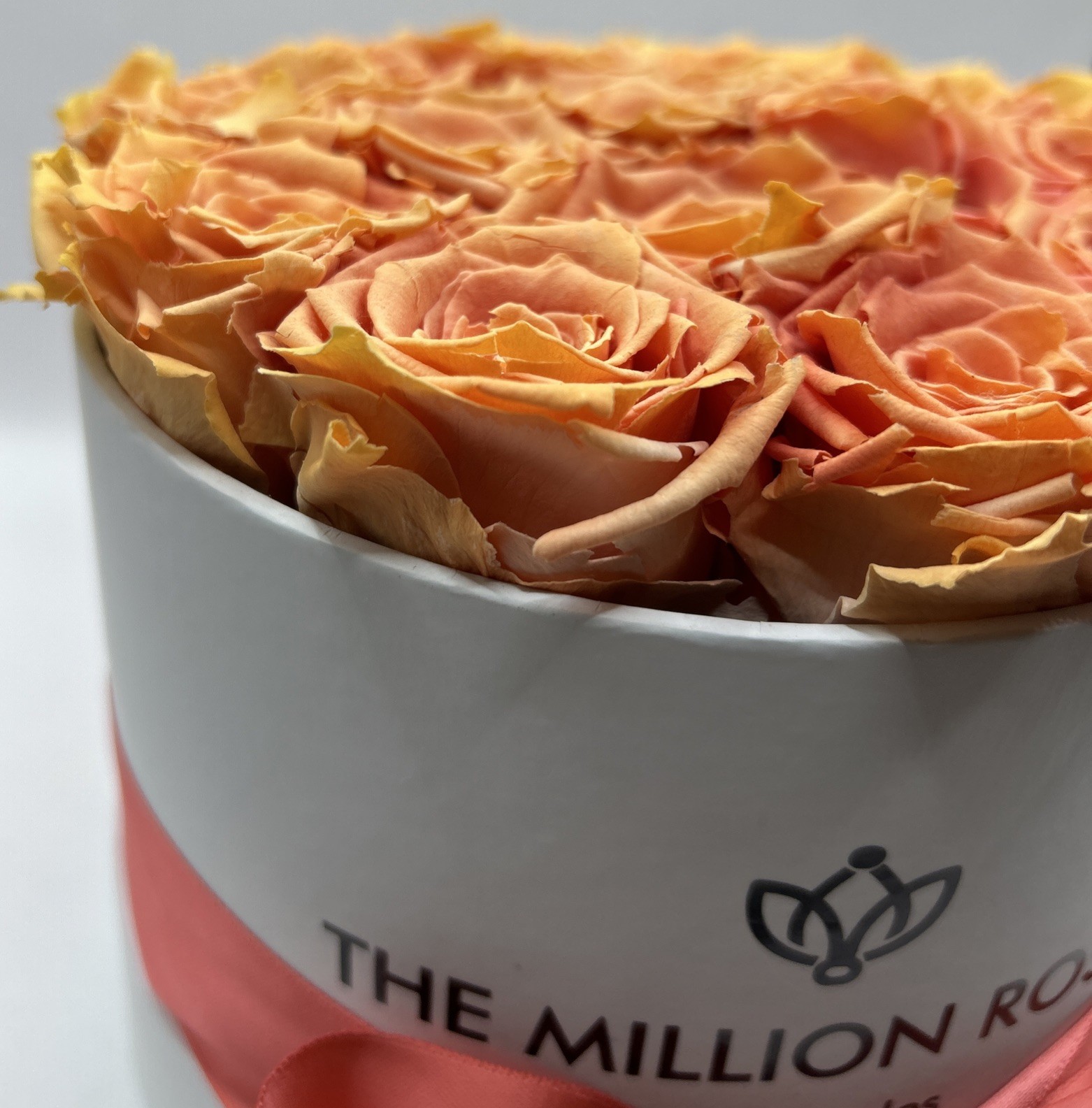 the million roses
