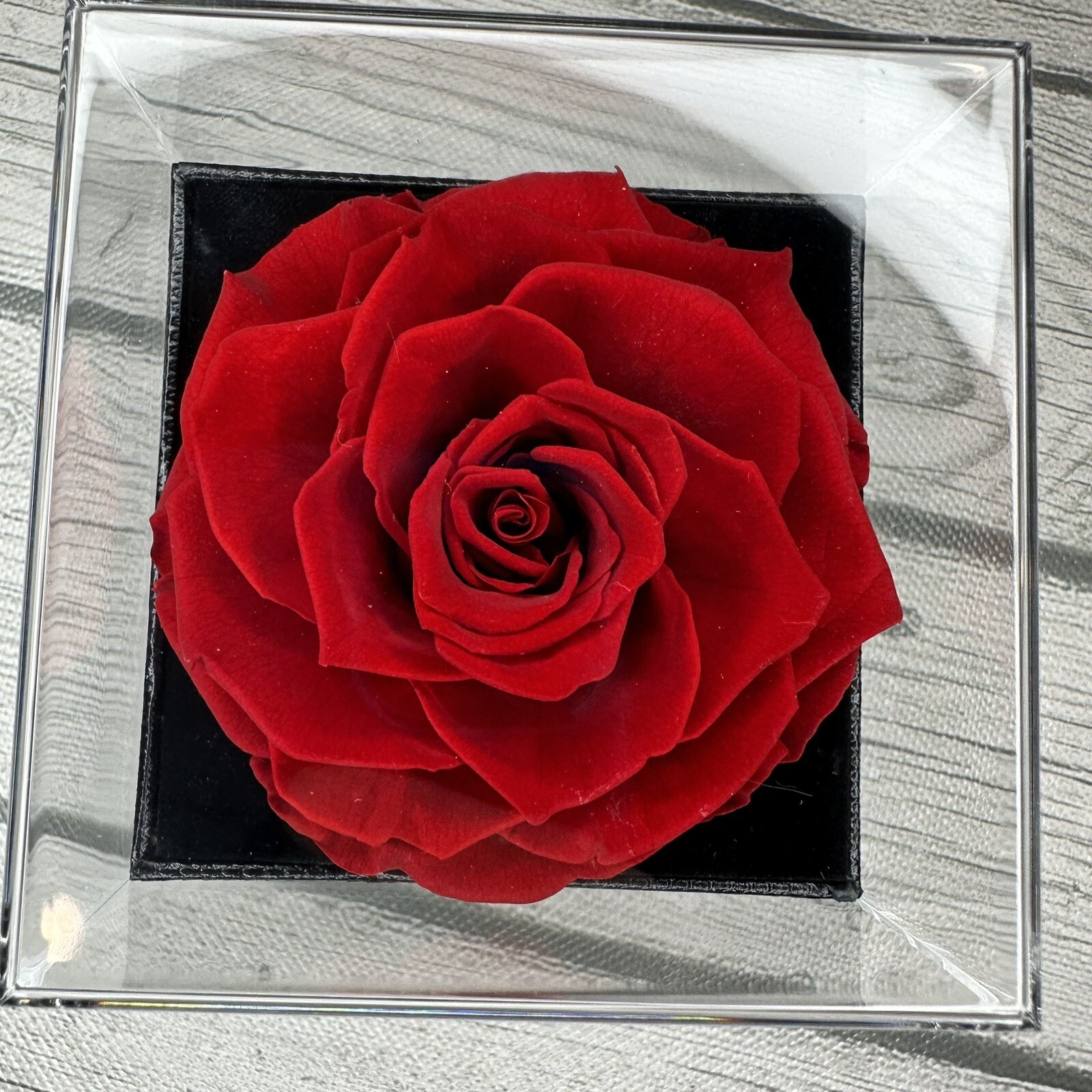 REAL Preserved Eternity Forever Rose Luxury Box Holiday Wedding Gift & Necklace