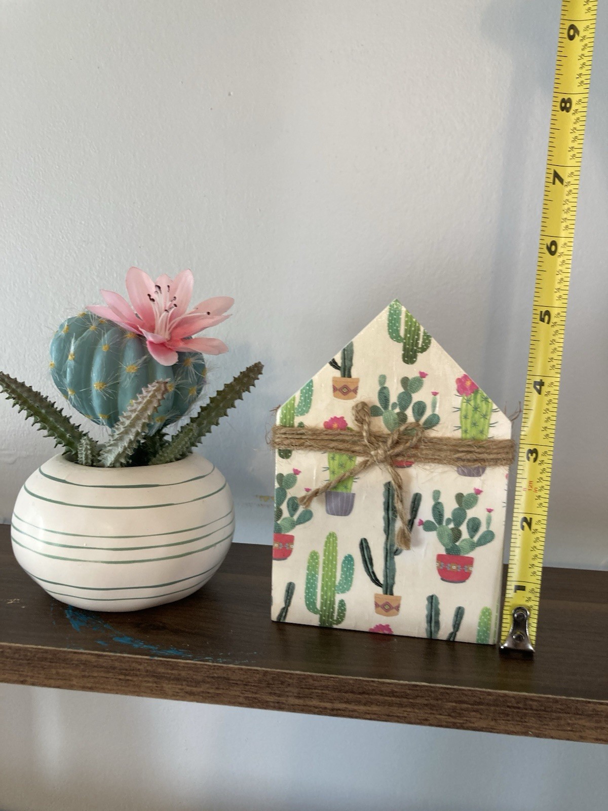 Succulent Tabletop Decor