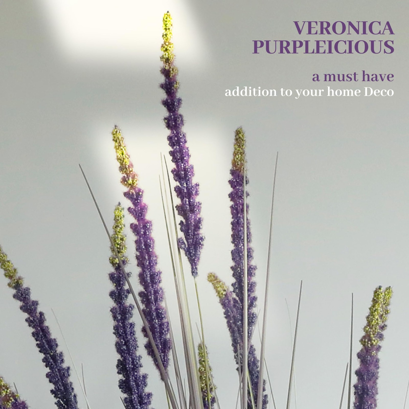 4ft 2-Pack Faux Veronica Speedwell Grass – UV Resistant Purple Plant, Realistic
