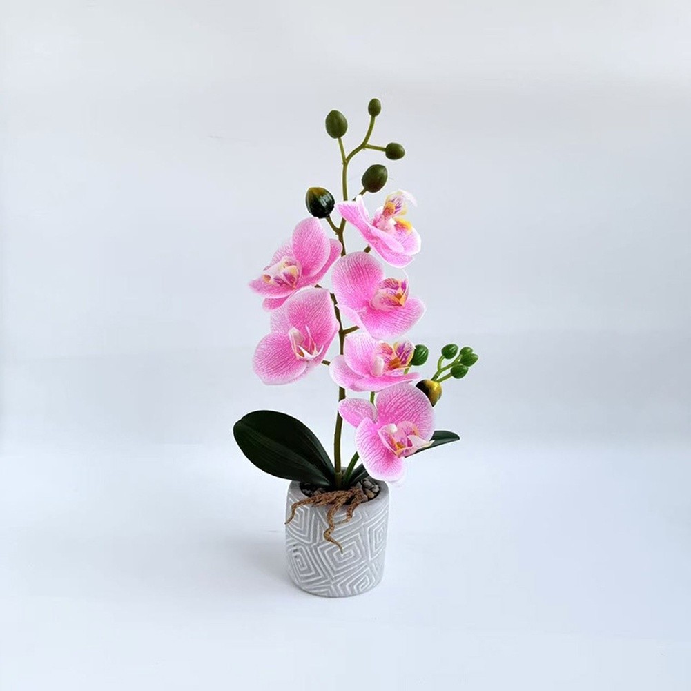 Fake Orchid Flower Plant in Cement Pot for Contemporary For Home Decoration