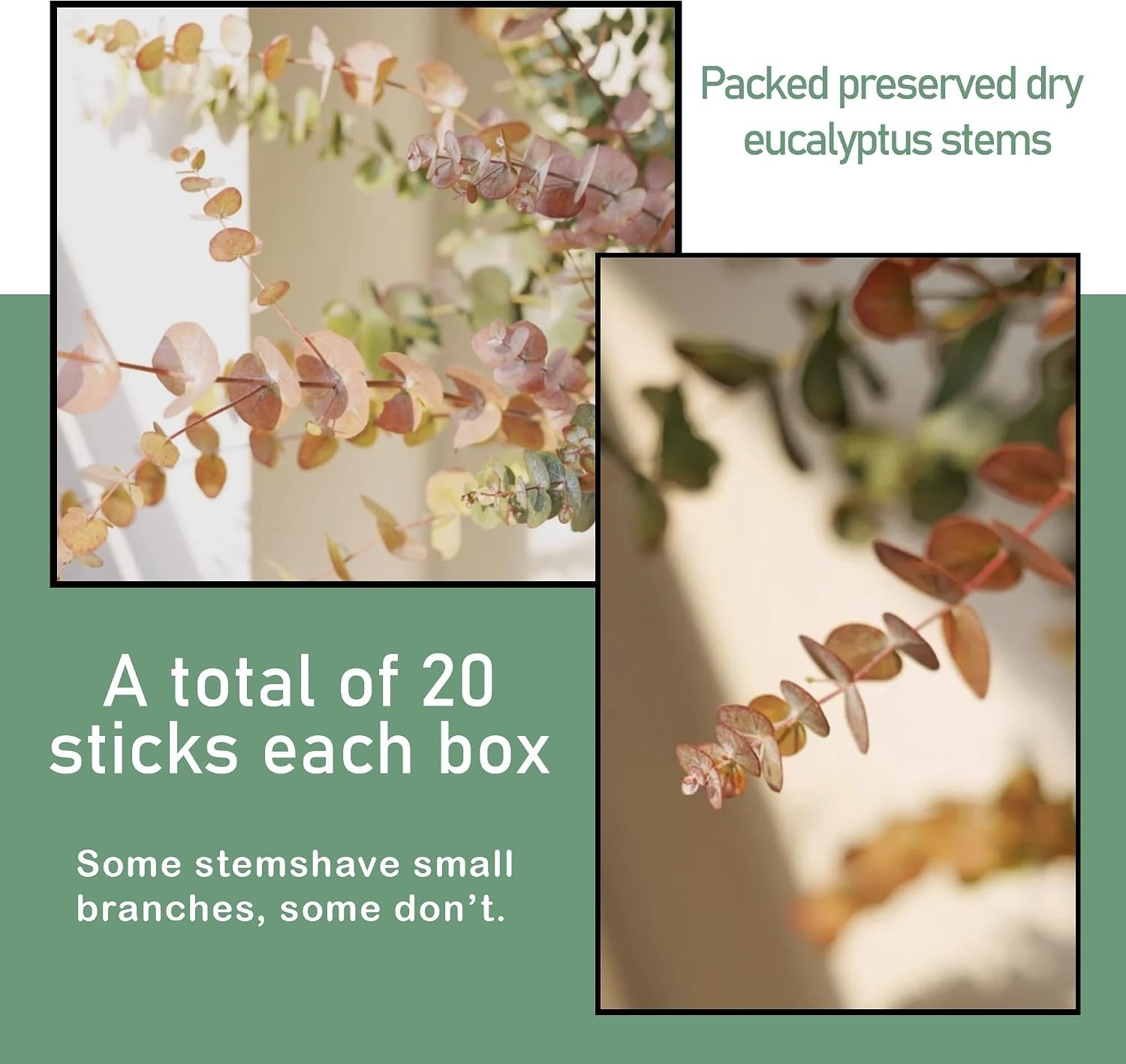 20Pcs Dried Eucalyptus Stems – Red, Real Long Eucalyptus, Dried Flowers for V…