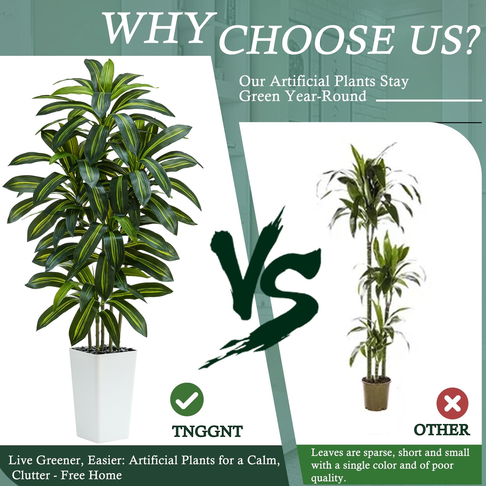TNGGNT Artificial Dracaena Tree：5FT Faux Silk 5FT, Dark Green – White Pot