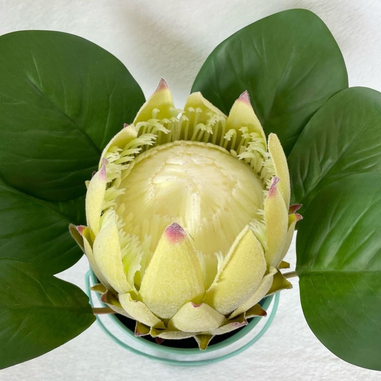 Handmade Artificial Protea in Seashell Bucket Floral Arrangement Beach Decor