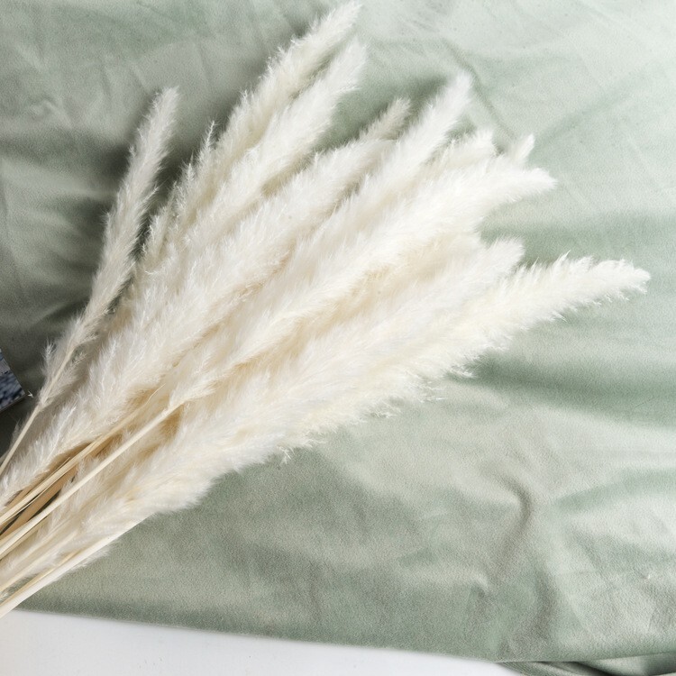 45PCS Natural Dried Pampas Grass 24 In. Reed Flower Wedding Bouquet Home Decors