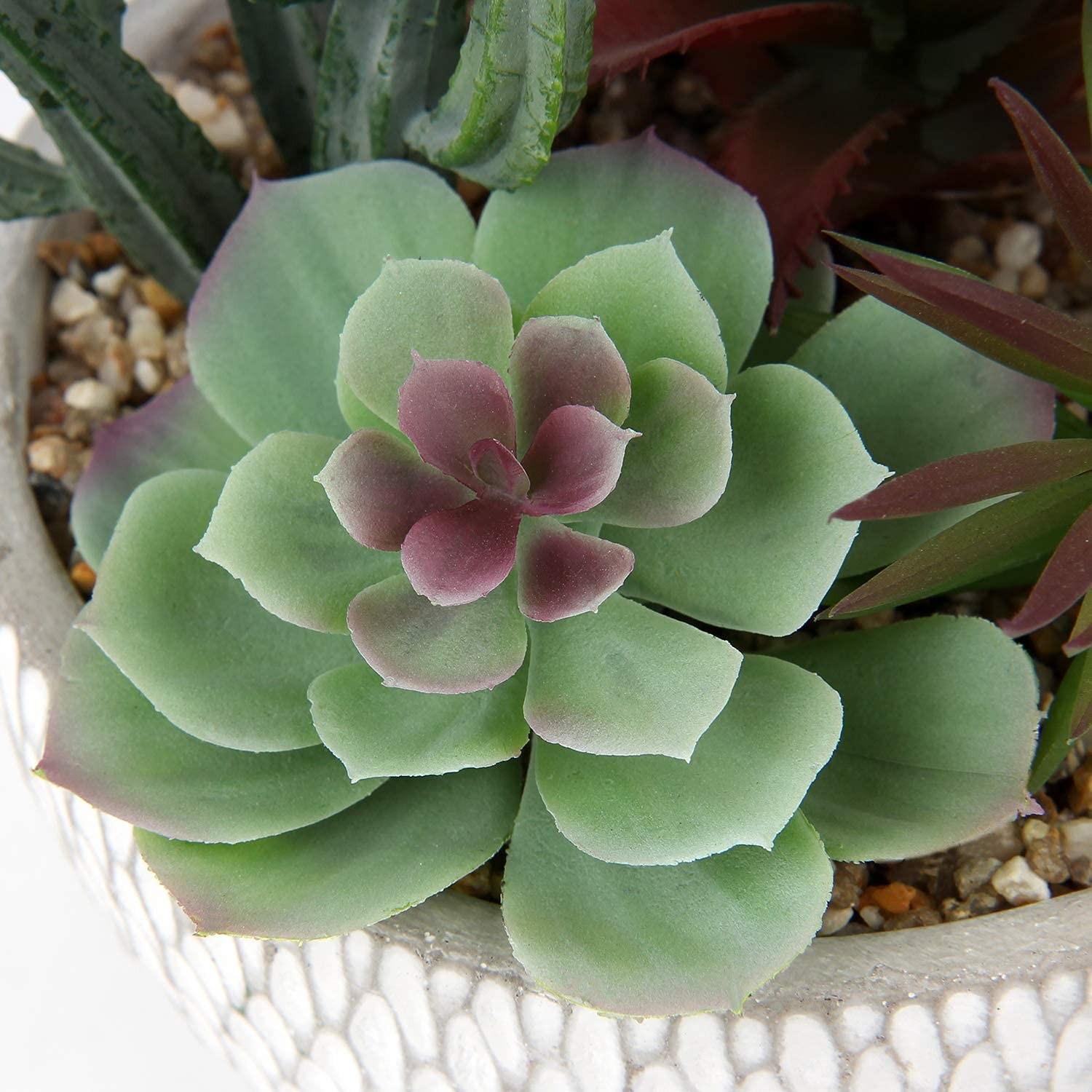 Small Fake Plants Assorted Faux Succulents in Pots Realistic Succulents Plant…