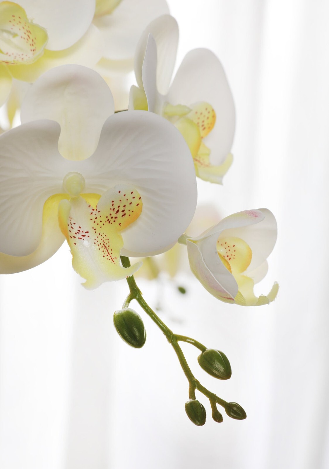 Artificial Orchid Stems Decor with 9 Phalaenopsis Flowers for Home Wedding Decor
