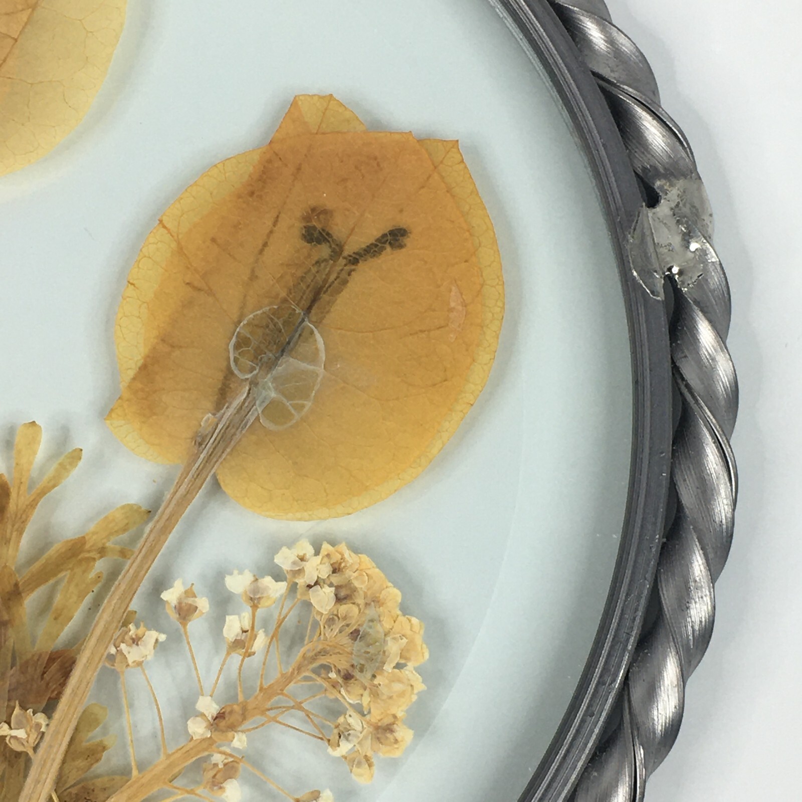 Lasting Impressions Real Flowers Glass Wall Hanging Pressed Flowers USA Floral
