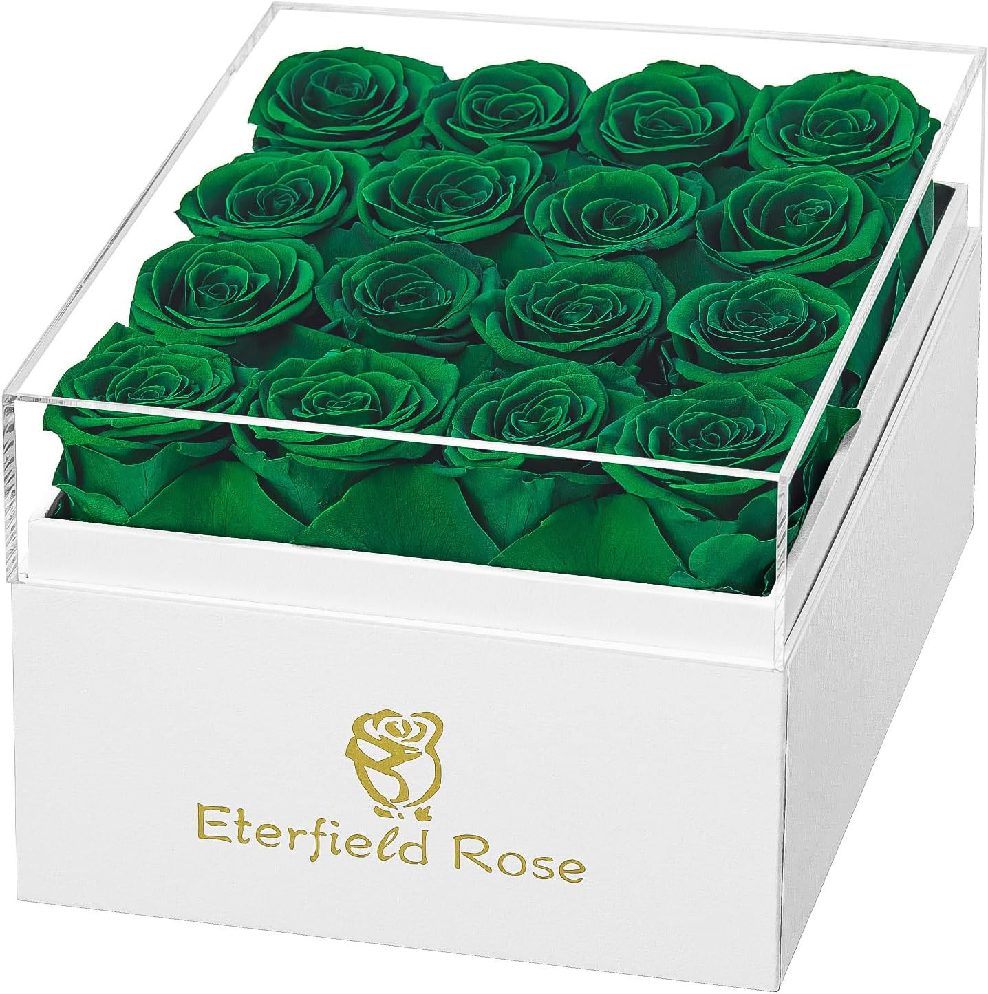 Forever Flowers Preserved Roses Real Roses That Last over a Year Rose Box Gifts