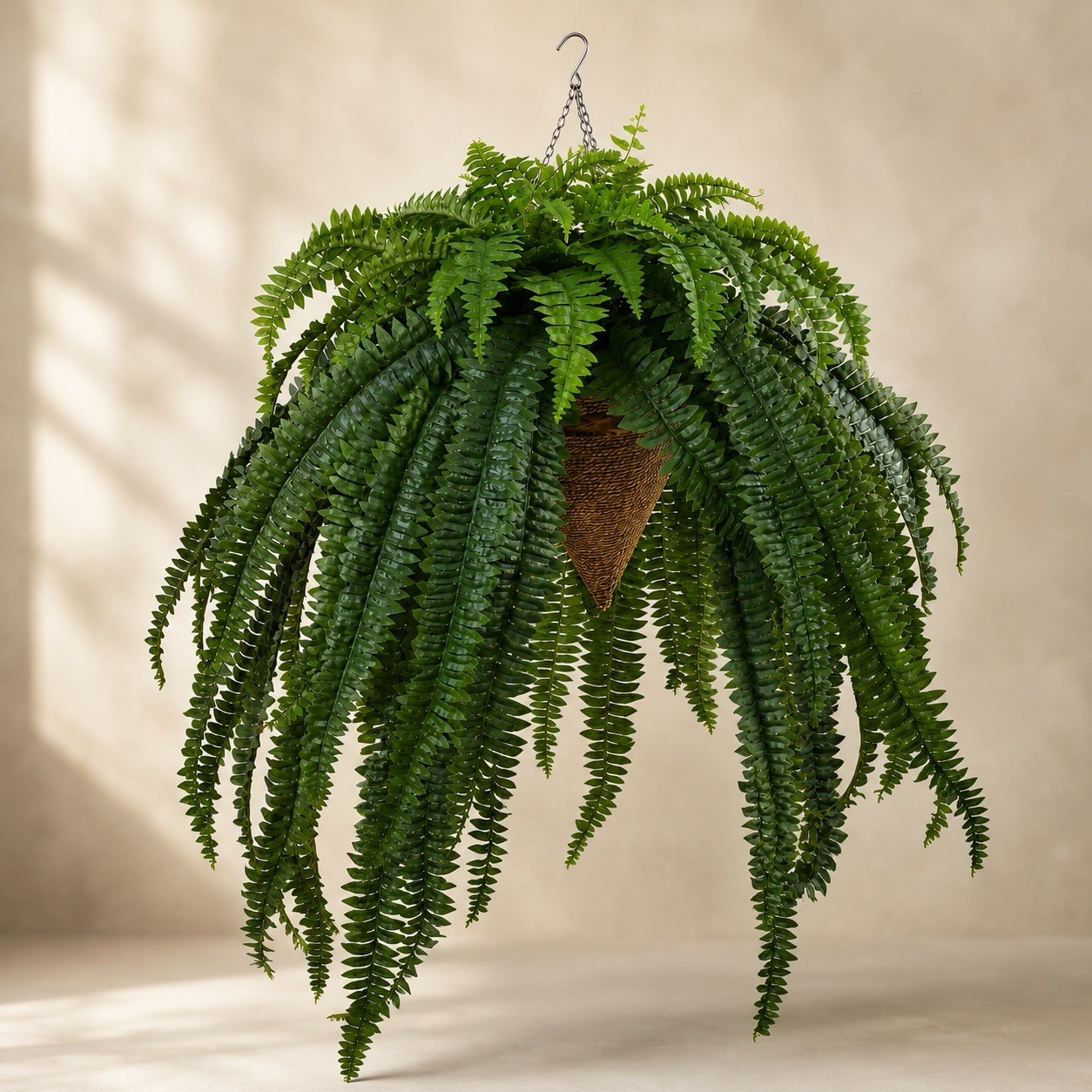 50” Giant Boston Fern Plant in Hanging Cone Basket Home Decor. Retail $226