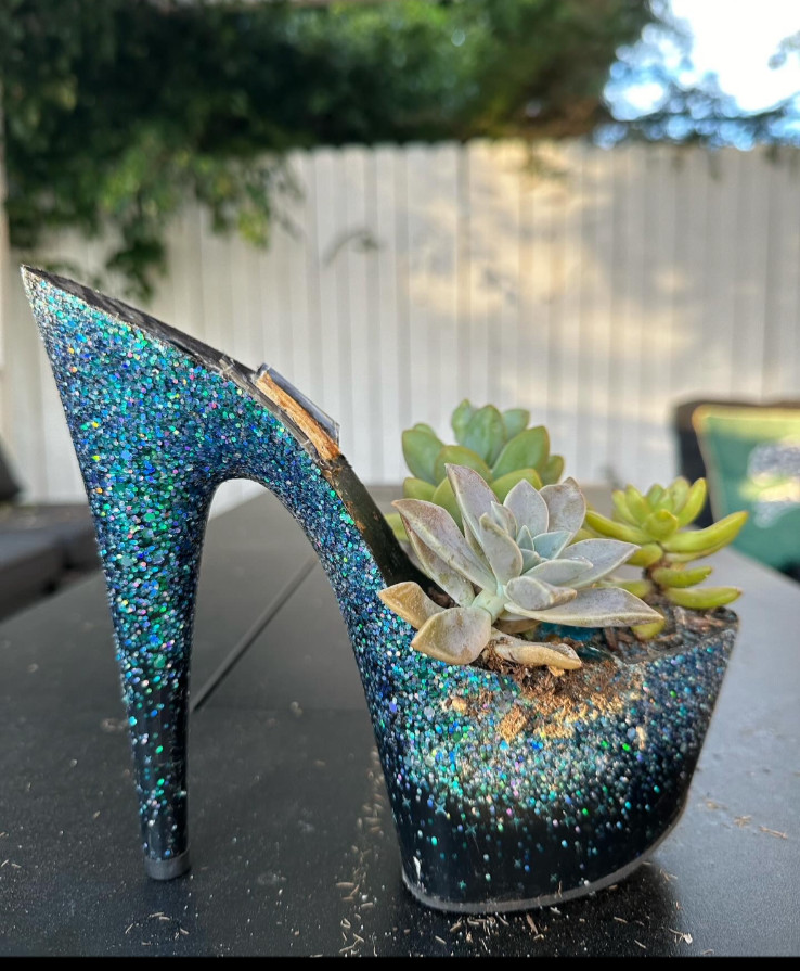 home decor plants