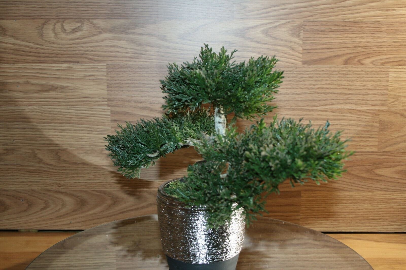 Bonsai Faux Japanese Pine Fake Tree 10x12x6″ Never Dies Cool Home Decor