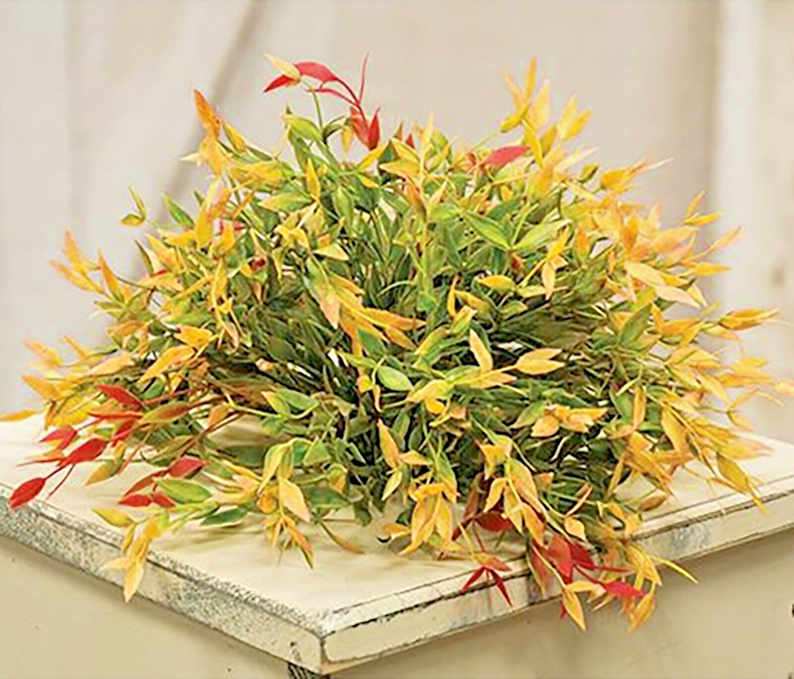 FALL Velvet Ash 1/2 Sphere Gold Greenery Faux Artificial Flower Plant~Red Green