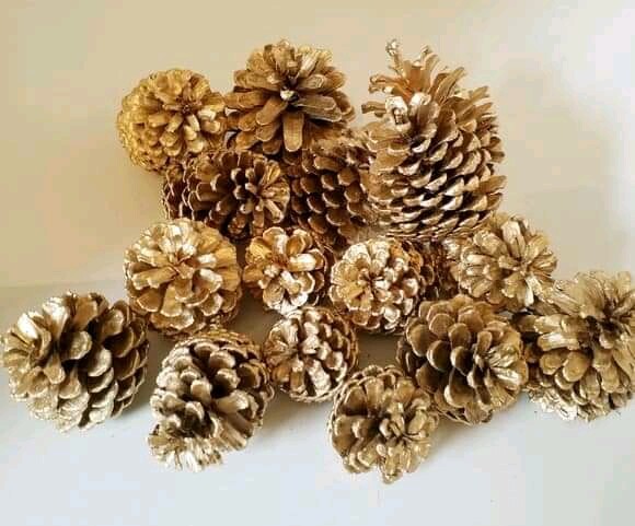 Pine Cones Decorative Natural For Florists Crafts 3PCS Quality Home Decoration