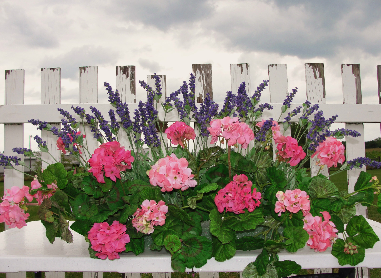 Outdoor Porch Patio Window Box Pink Geraniums Lavender Arrangements 2ft. Gardens