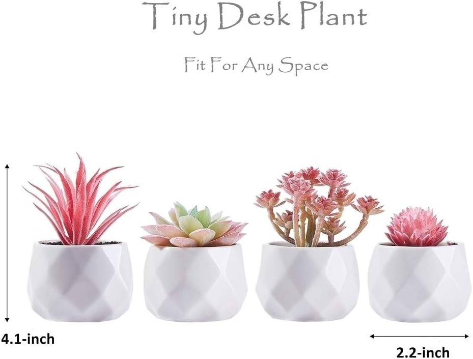 Realistic Faux Succulents Set – Eco-Friendly Indoor Decor for Home and Office