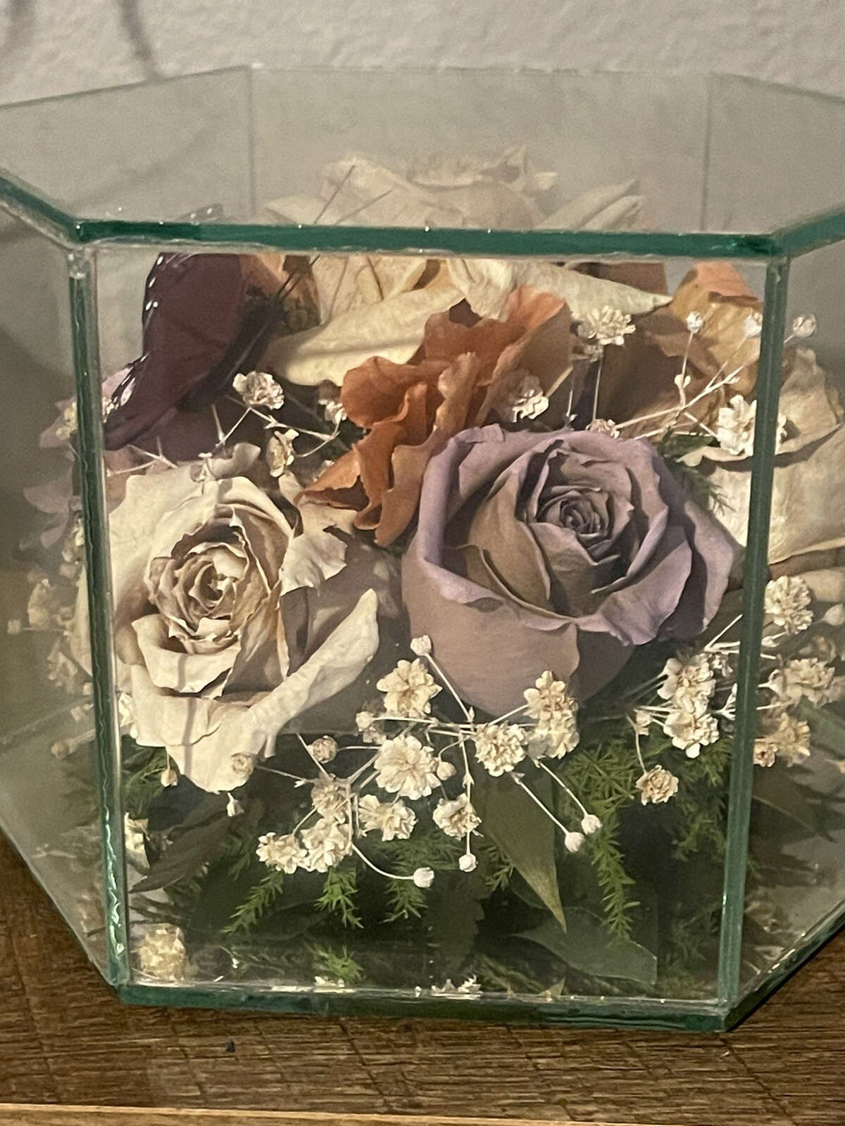 Vintage Freeze Dried Roses W/Butterfly In A Glass Display Case