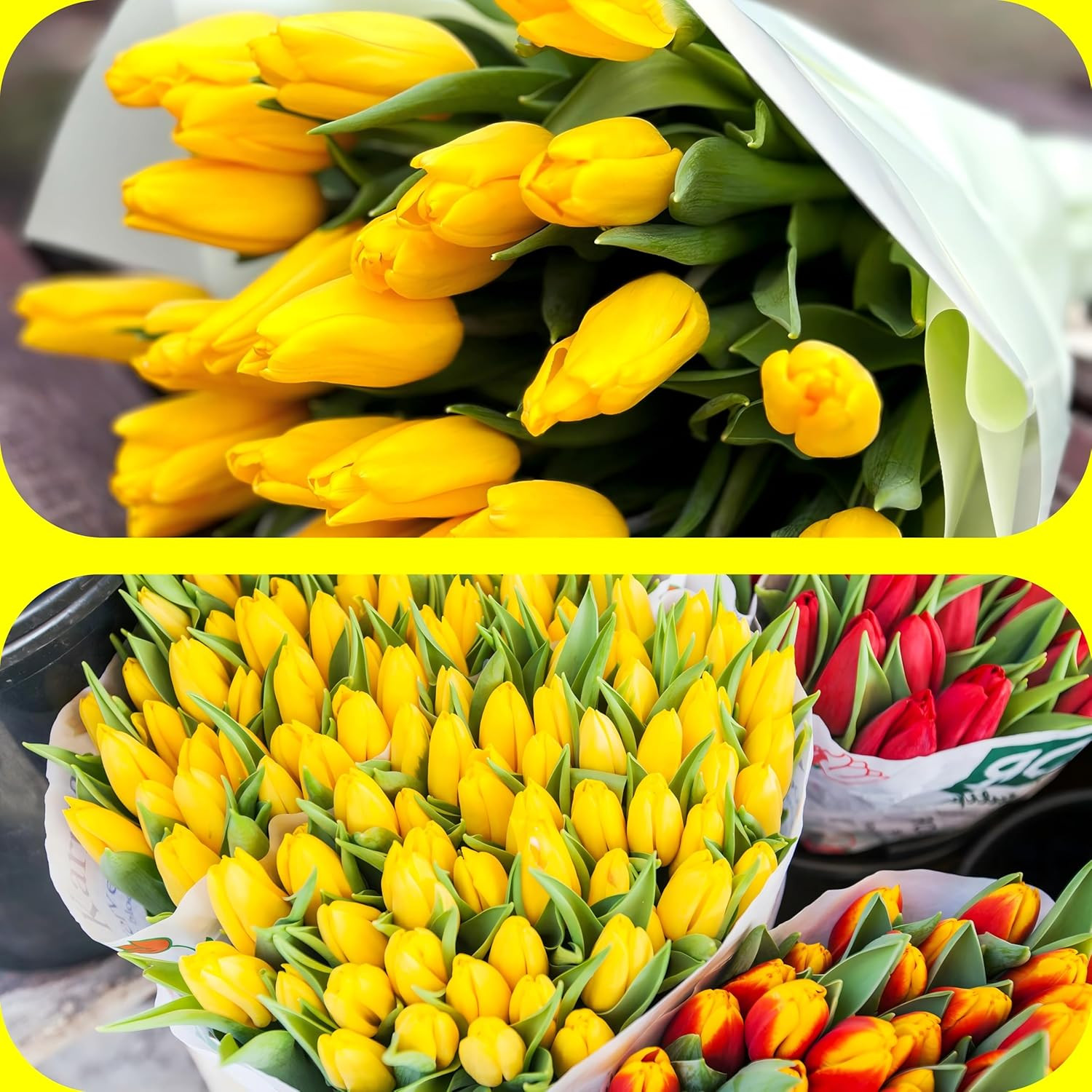 15 Pcs Fake Tulips Artificial Flowers Real Touch PU Faux Flowers Tulip Stems for