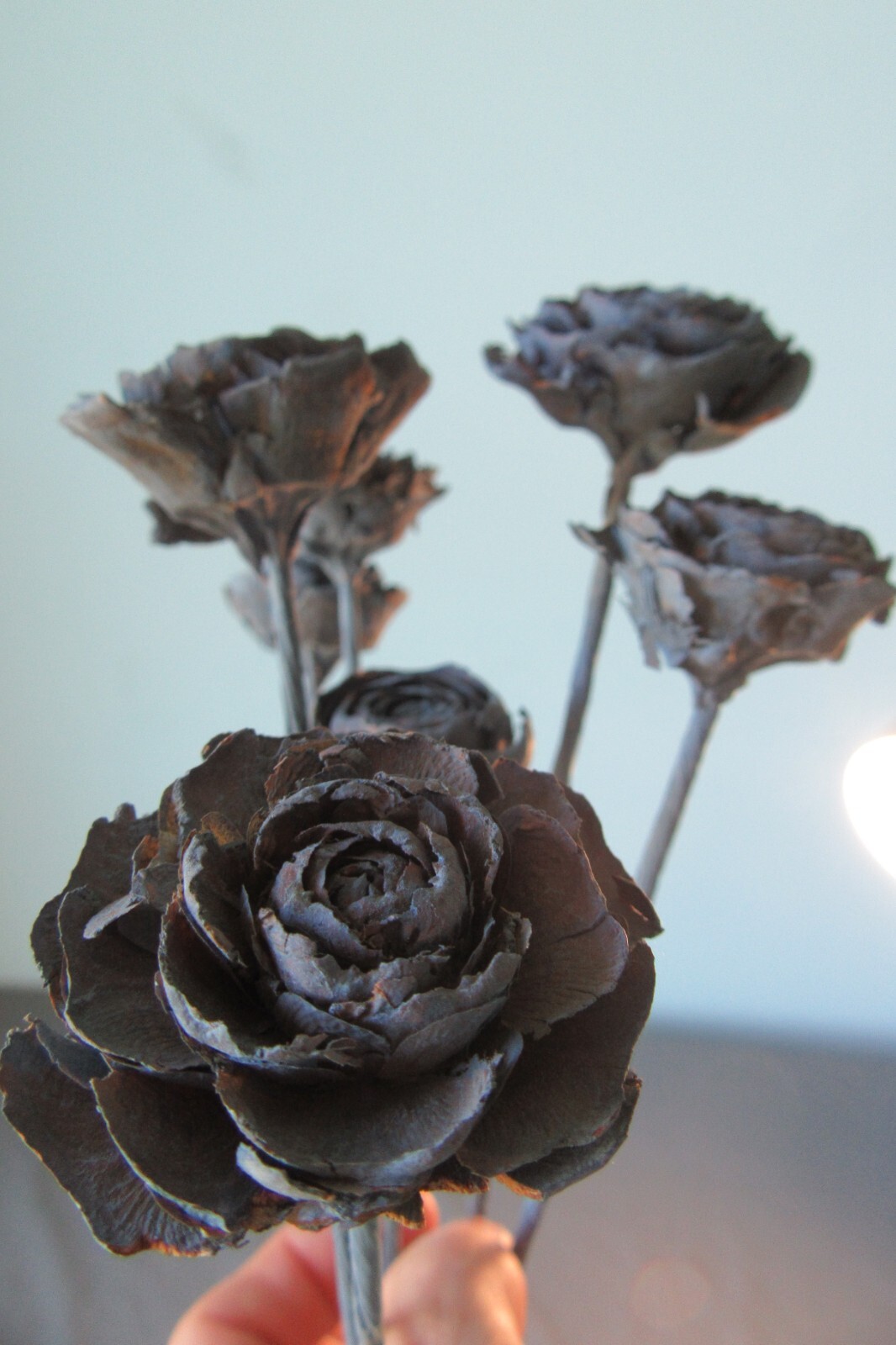 Cedar Roses Pine Cones Painted on Stems Bouquet